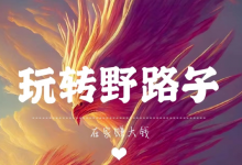 普通人想赚钱,就得玩点“野路子”-金宜盈